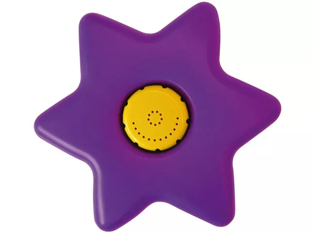 Fontaine fleurs
